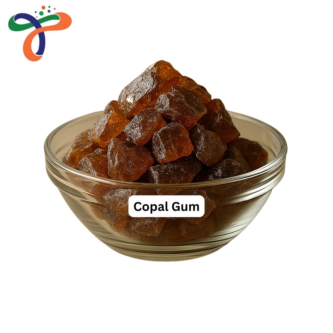 Copal Gum